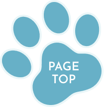 ボタン:PAGE TOP